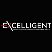 Professional_Services_Excelligent_217px