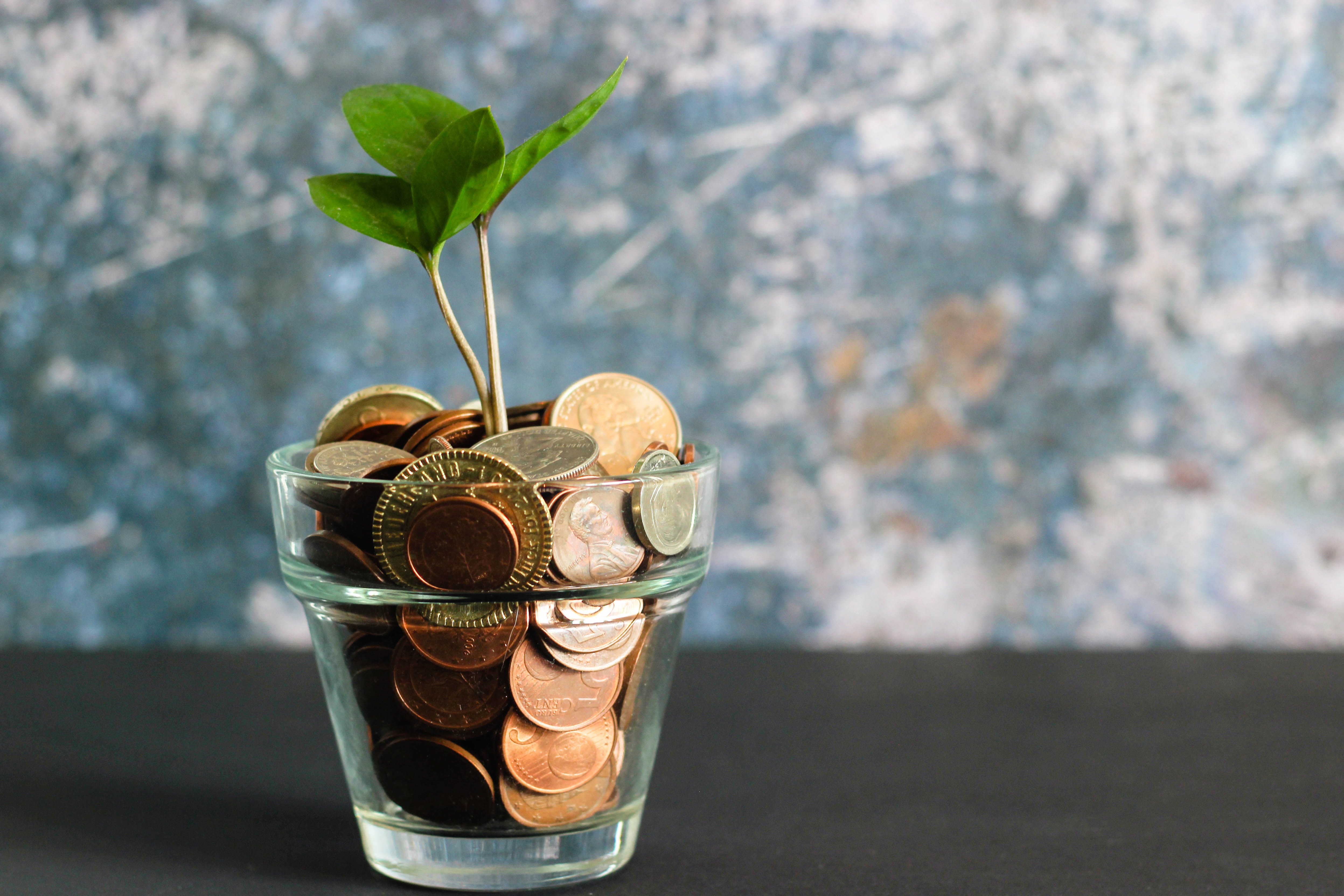 How to Create a Successful Financial Wellness Program